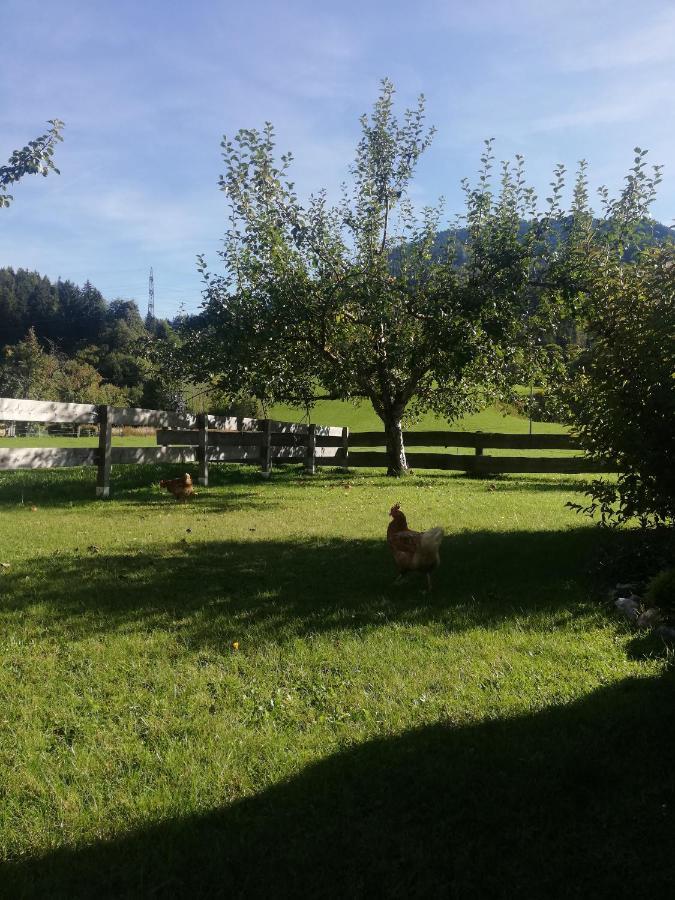 Apartament Haus Schreder Saalfelden Zewnętrze zdjęcie