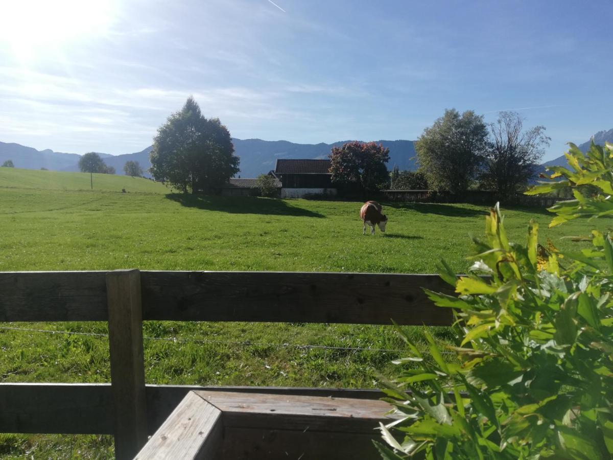 Apartament Haus Schreder Saalfelden Zewnętrze zdjęcie