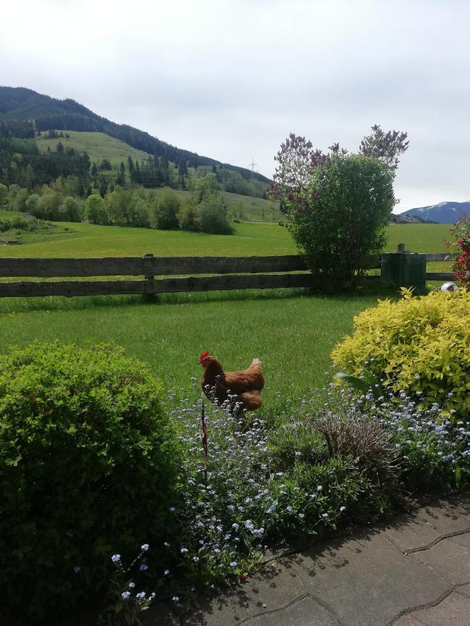 Apartament Haus Schreder Saalfelden Zewnętrze zdjęcie
